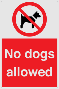 No dogs allowed